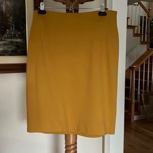 Mustard née length skirt.
